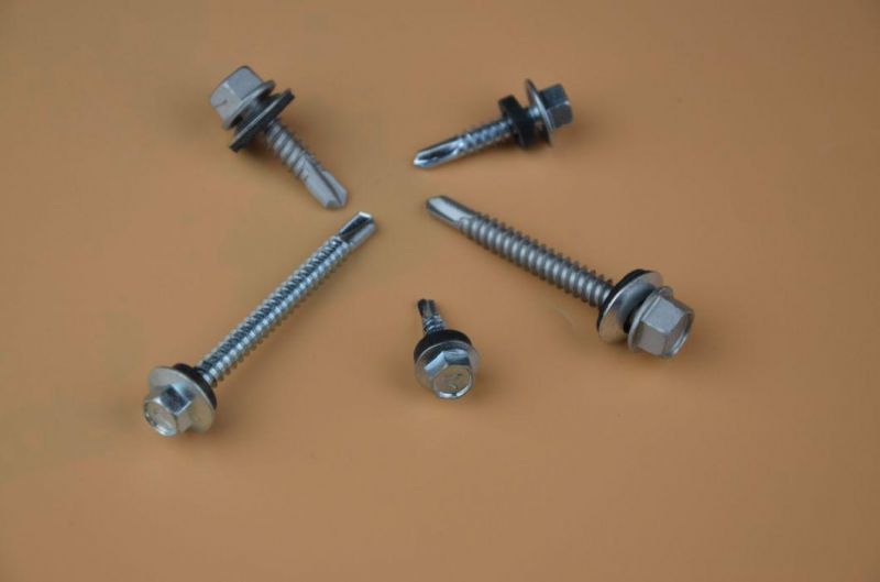 Screw/Torx Screw/Epoxy Screw/Self Tapping Screw/Self Drilling Screw