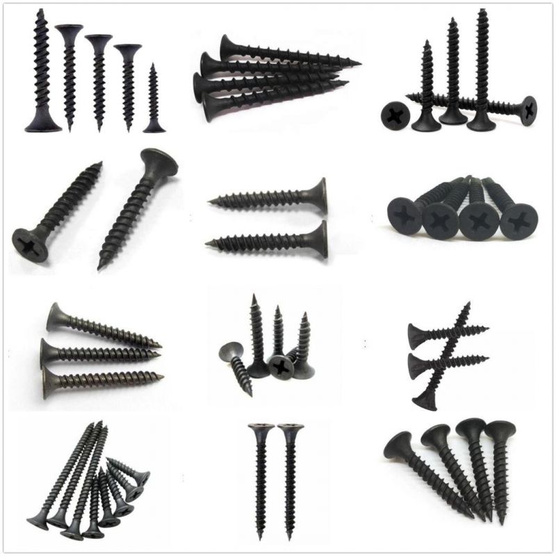 China Manufacture Fine Thread Black Phosphated Drywall Screw