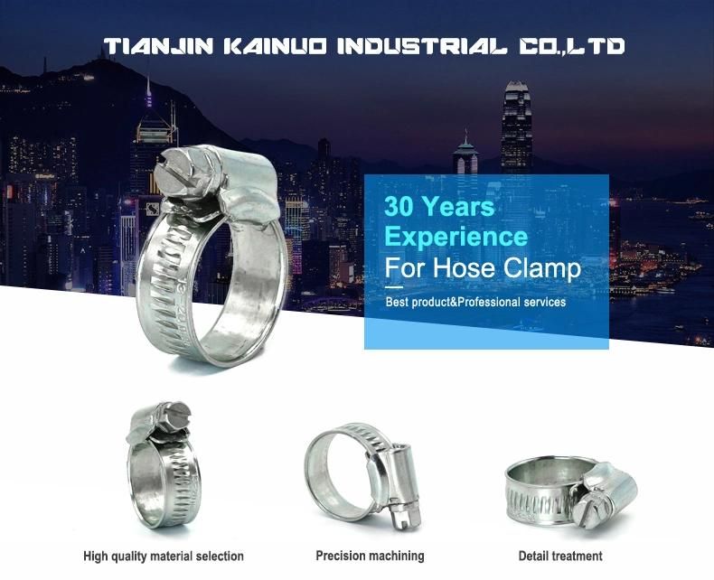Non-Perforated Worm Gear Adjustable Stainless Steel British Type Hose Clamp with Riveted Housing, 9.5-12mm
