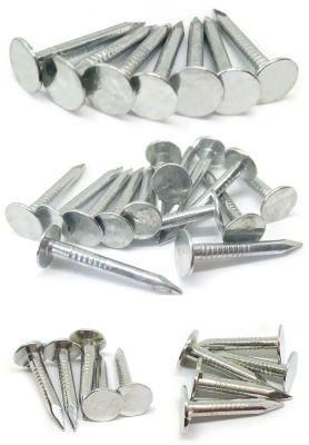 Good Quality Ans Hot Sale for The Roofing Nails