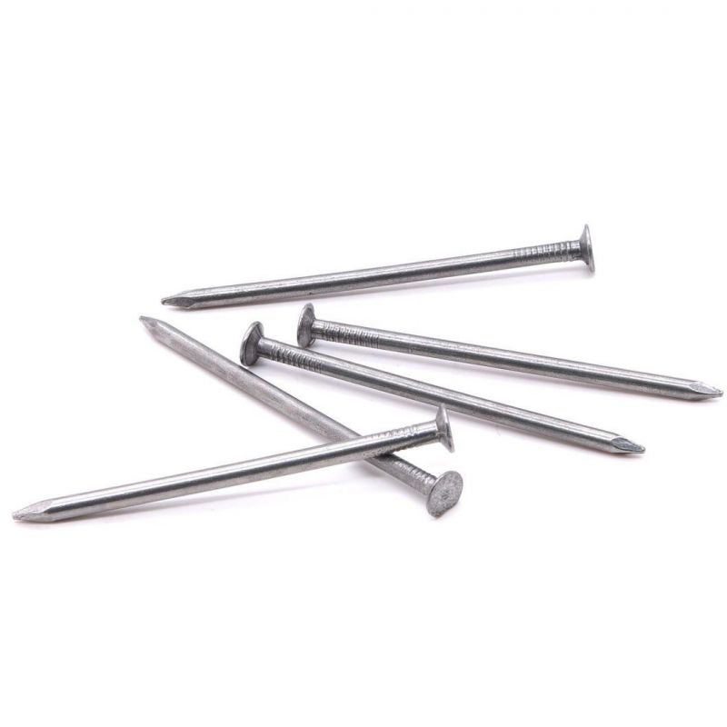 Angola Zambia Namibia Market/Wholesale Quality Iron Common Nail Prices Construction Nails for Wood