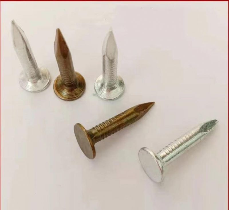 Hot Sale Size 1" Clout Nails Roofing Nails From Golden manufacture