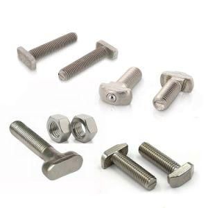 Customized T Bolt with a T Shape Head