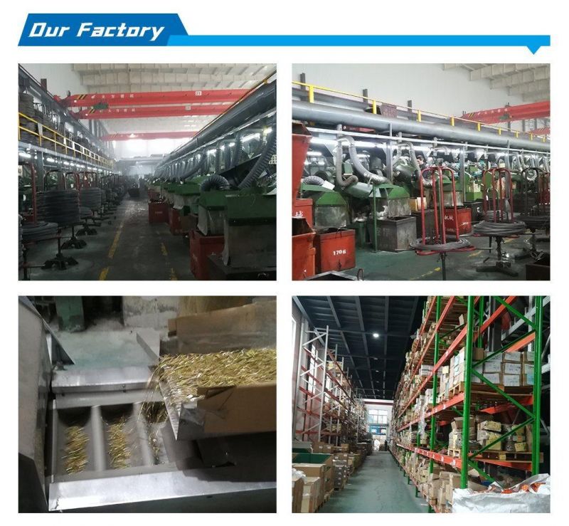 Flower Counter Sunk Bolt China Stainless Steel Screw Nail