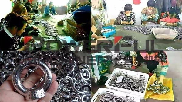 China Supplier Fastener Manufacture Carbon Steel Drop Forged DIN580 Lifting Eye Bolt