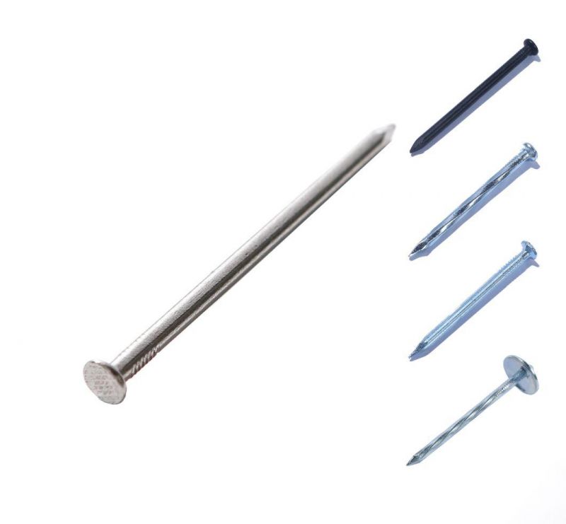 Angola Ethiopia Market/Construction Electro Galvanized Common Wood Wire Nails Nail