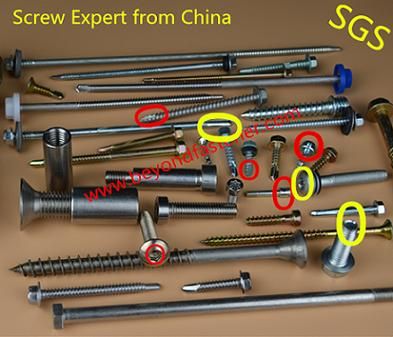 Bi-Metal Screw/Self Drilling Screw/Self Tapping Screw/Twist Point Screw/Tek Screw