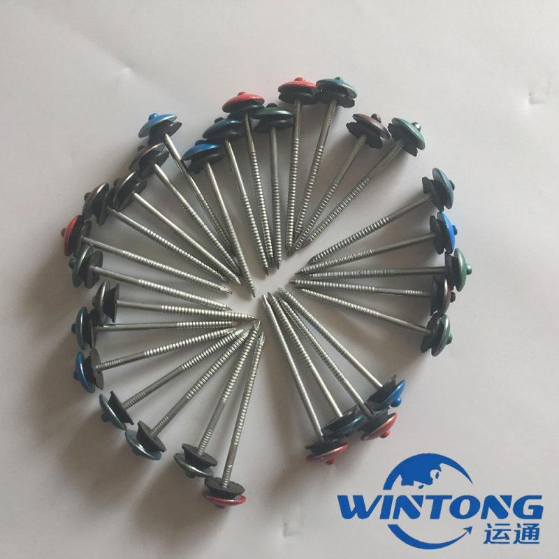 Galvanized/ Umbrella Twist Smooth Shank Roofing/Lron/Finish /Tapping Screw /Wire/Boat /Nails