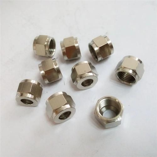 Stainless Steel Small Hex Nuts Nipple for Injection Mold Parts