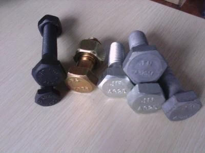 M22*50 A325 &amp; A490 Hex Bolt with A563 Hex Nut