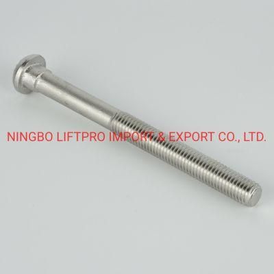 Track Bolt Stainless Steel SS304 316 Carbon Steel Rail Way Nut and Bolt