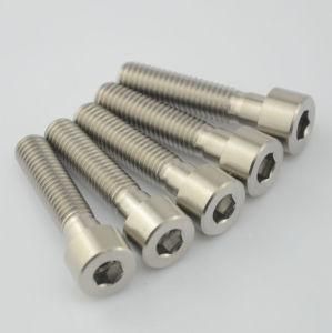 Titanium Hexagon Socket Screws