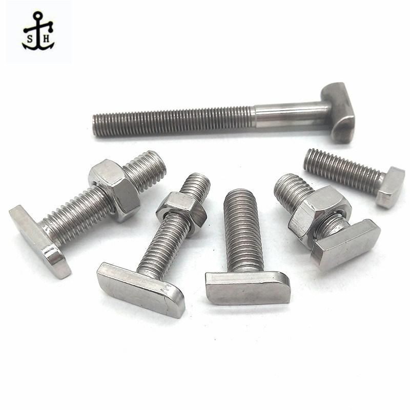 OEM DIN261 HDG Stainless Steel Square T Head Bolt with ISO Certification in China