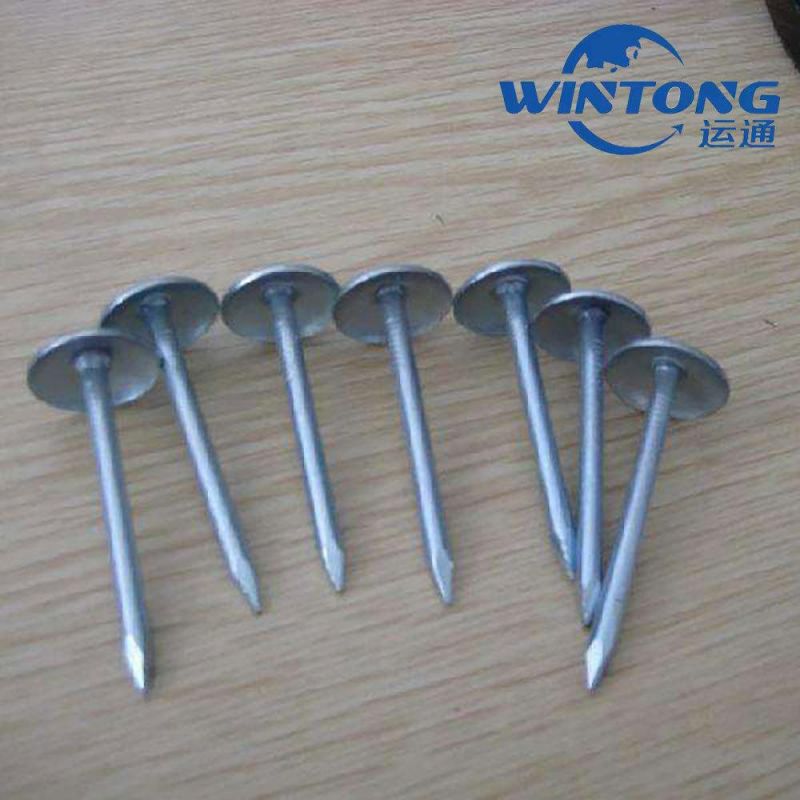 Steel Galvanized Construction Wire Umbrella Head Nails Concrete Nails