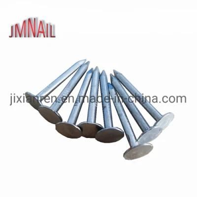 Roofing Nail/Clout Nail/Big Head Nail/Copper Nail/Ceiling Nail/Nail