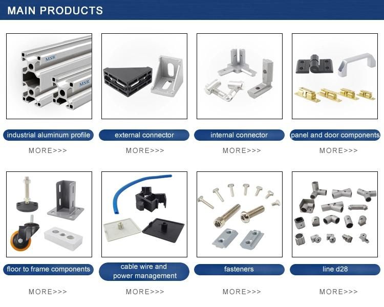 Wholesales OEM ODM SS304 Stainless Steel Carbon Steel Slide-in T-Nuts for Aluminum Profile/Industry/Assembly Line in M5 M4 M6 M8 M10 in 20 30 40 45 Series