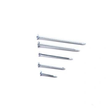 Galvanized Concrete Nail Angular Concrete Nails