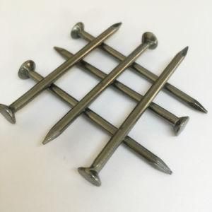 Polishing Common Iron Round Head Nails