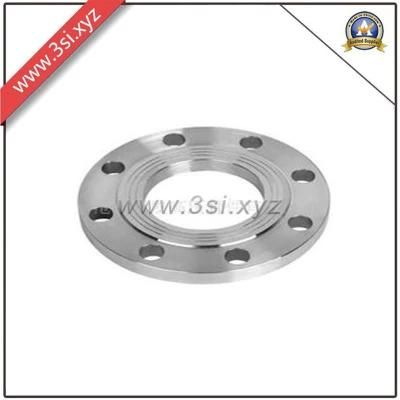 316 Stainless Steel Plate Flange (YZF-M075)