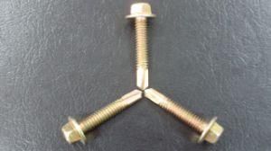 SDS (Self-Drilling Screw) With Hexagonal Cap