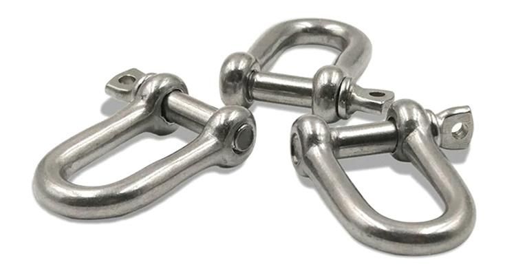 Hot Sale Stainless Steel JIS Type Dee Shackles for Riggings