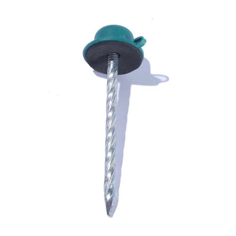 Nigeria Angola Zambia Namibia Market/China Factory 2 Inch Roofing Nails for Corrugated Sheets