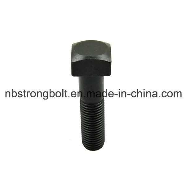 Square Head Bolt Screw with Black Oxid DIN1587 More Than 10 Years Produce Expricence Factory