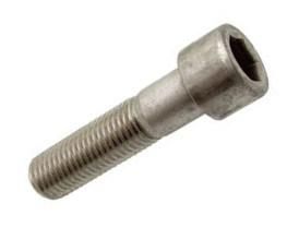 Stainless Steel 304 /316 Socket Head Cap Screws