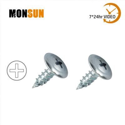 Phillips Drive Modified Truss Head Fine Thread Zinc Plated Self Tapping Drywall Screw/K-Lath Screws