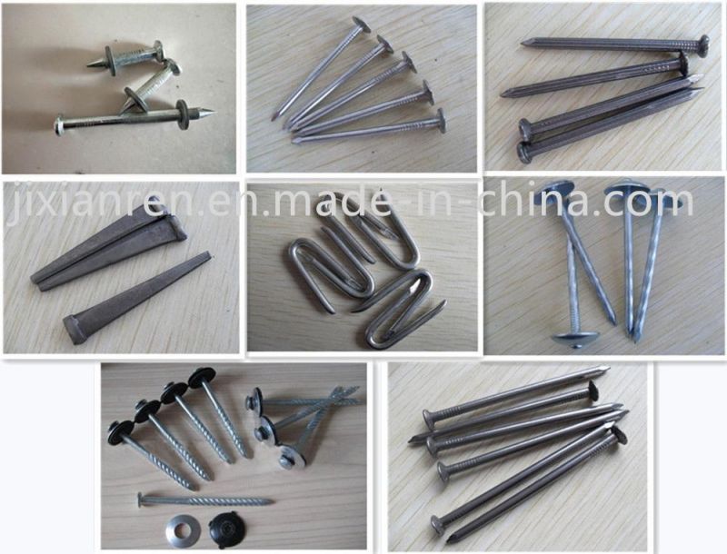 DIN Standard Electric Galvanized Common Nail