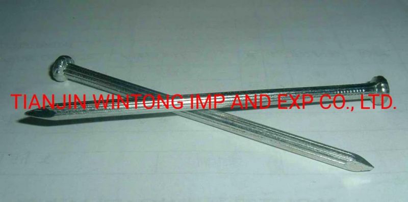 Blue Zinc Plating Concrete Nail/Plating Straight Concrete Nail
