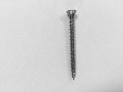 Stainless Steel Drywall Screw /Self Tapping Screw