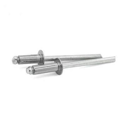 304 Stainless Steel Flat Head Hollow Rivets