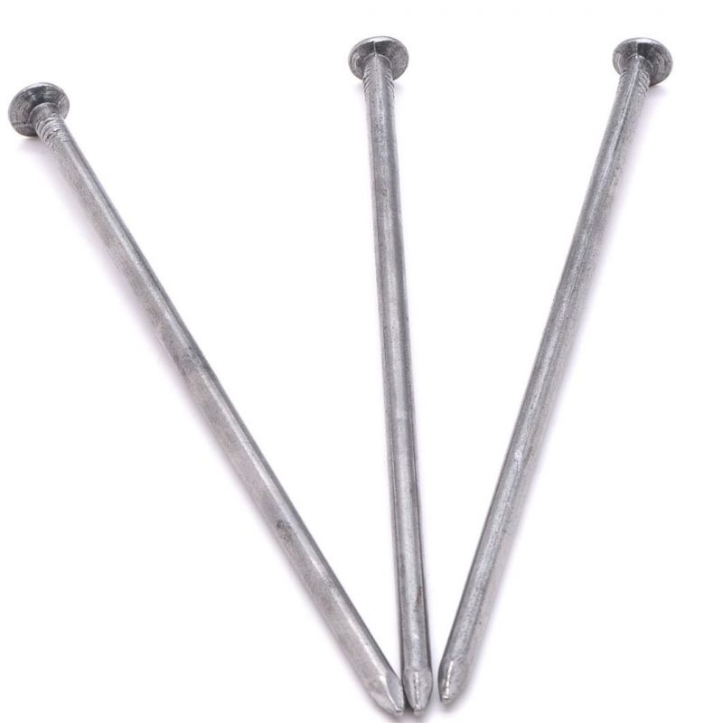 Q195 Common Wire Rod Nails Polished Common Nail
