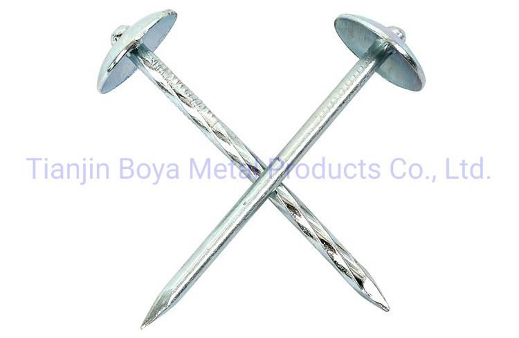 Good Quality 2.5 Inch Umbrealla Head Roofing Nails