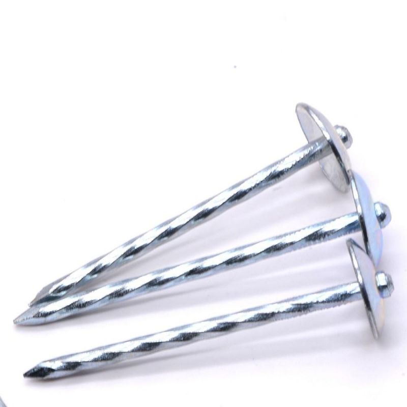 Zambia Namibia Market/Excellent Sales Iron Roofing Nails Corrugated Iron Nails 1 1/2 Inch