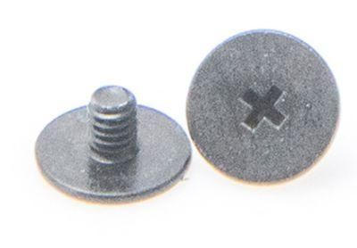 Flat Low Profile Head Philip Drive Fastener Carbon Stainless Steel Screw