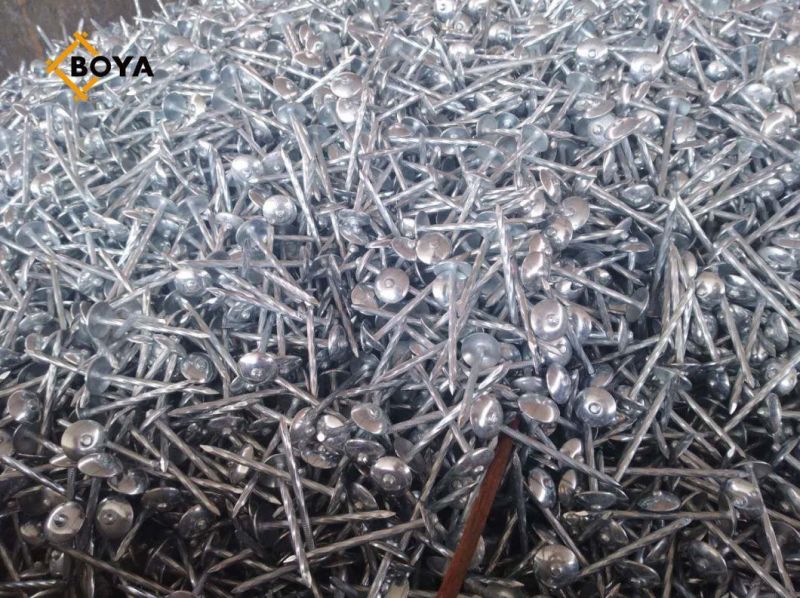 Tianjin Factory Q195 Galvanized Umbrella Head Ring Shank Roofing Nails