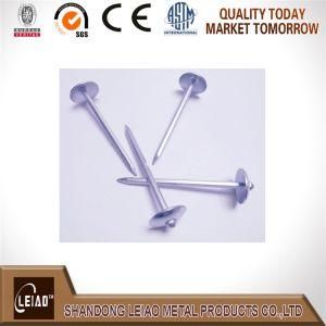 Galvanized Unbrella Head Roofing Nail