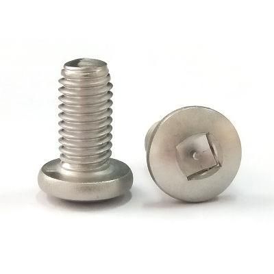 Stainless Steel Binding Head Square Anti-Theft Security Screw with Pin