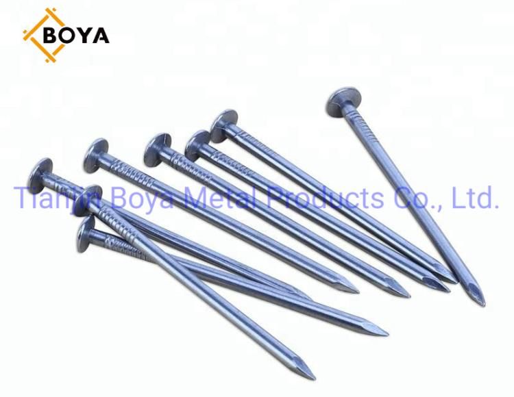 Common Nail/Polished Nail/Building Nail/Common Round Head/Iron Nail/Wire Nail/Hardware