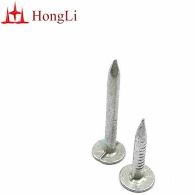 Factory Wholesale Galvanised Roof Clout Nails 15mm