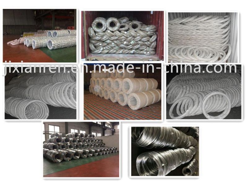 DIN Standard Electric Galvanized Common Nail