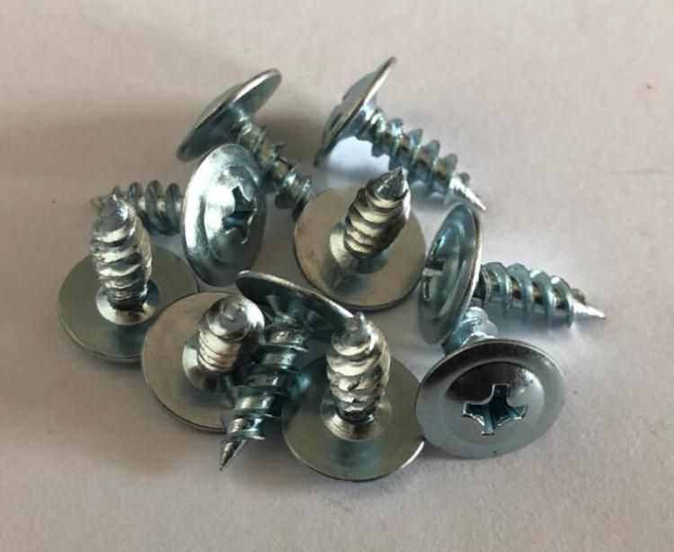 Phillip Recess Truss Head Self Tapping Screw C1022 Zinc Plated