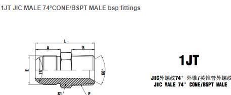 1jt Jic Male 74° Cone/BSPT Male Bsp Fittings