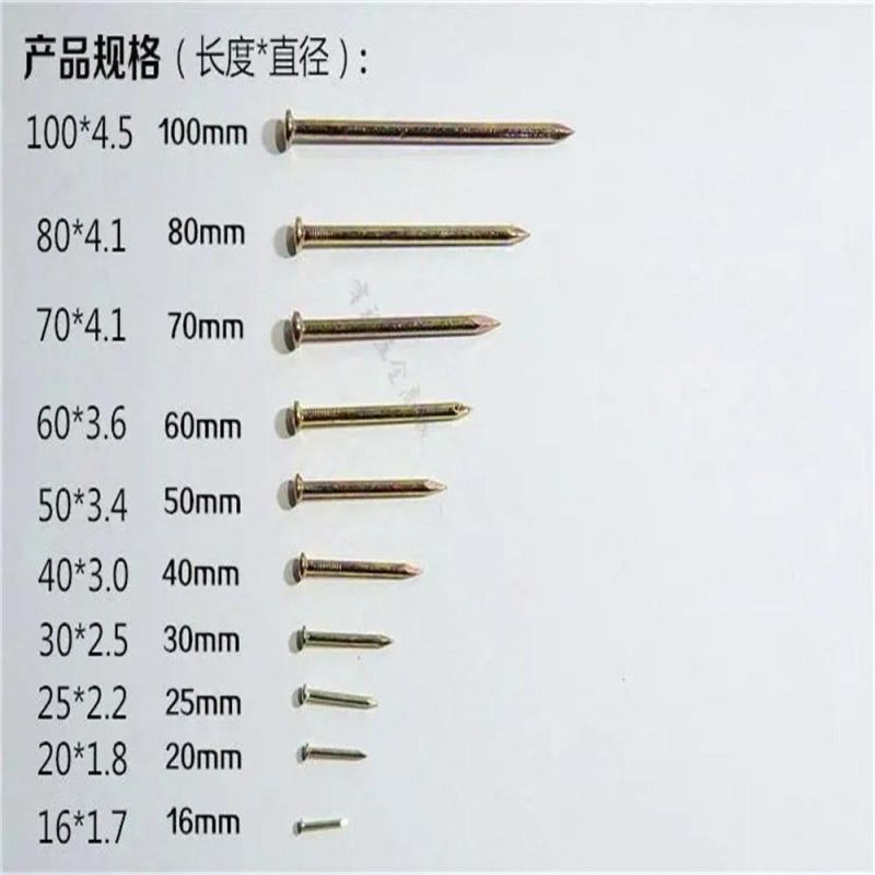 Hardened Special Concrete Nail Steel Nail/Color Plated Concrete Nail