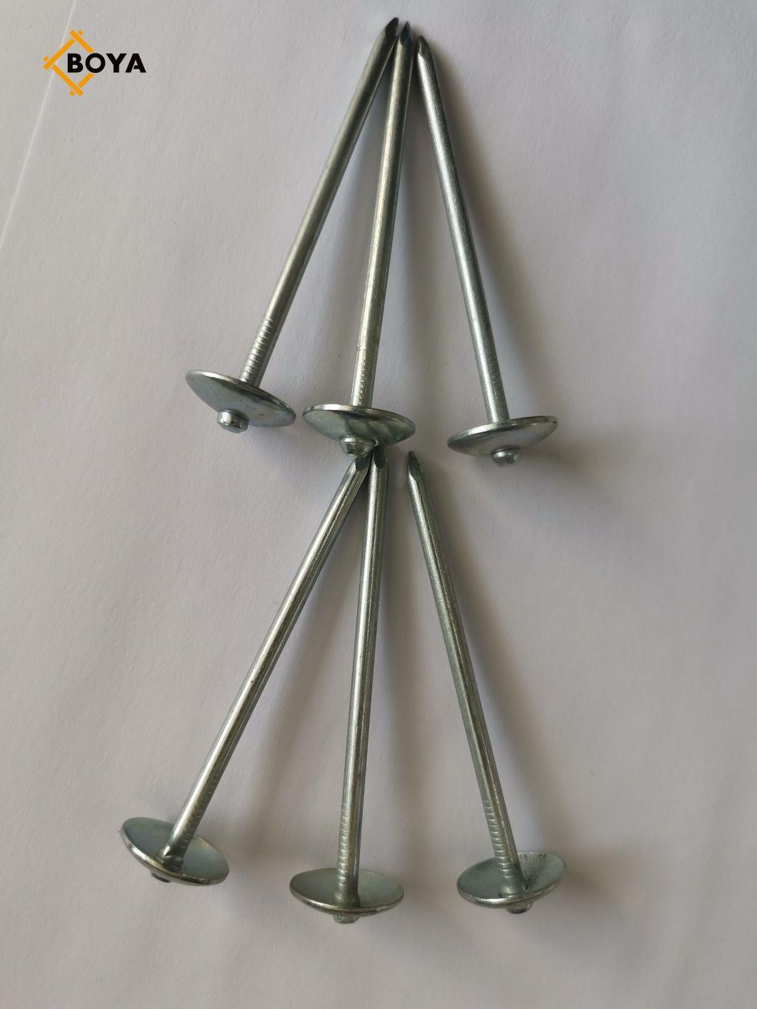 Harden Steel Umbrella Head Roofing Nail with Factory Price