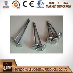 Galvanized Umbrella Head Smooth/Twist Shank Roofing Nail From China Factory