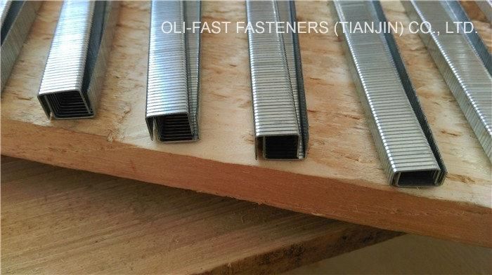 20ga A11 Staples, Arrow T50 Staples, 3/8" Flat Crown, for All T50 and T55 Arrow Tackers