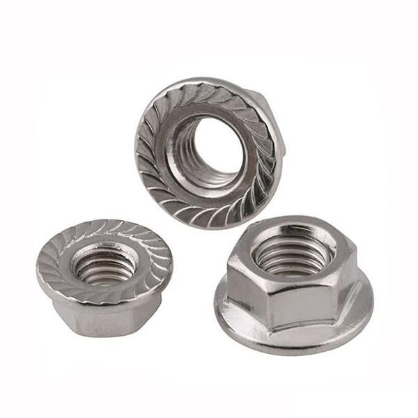 M3-M100 Hex Nut, Customized Stainless Steel SS304 SS316 2205 Hex Nut DIN934 Chinese Bolt and Nut Manufacturer Bolt Screw Nylon Locknut
